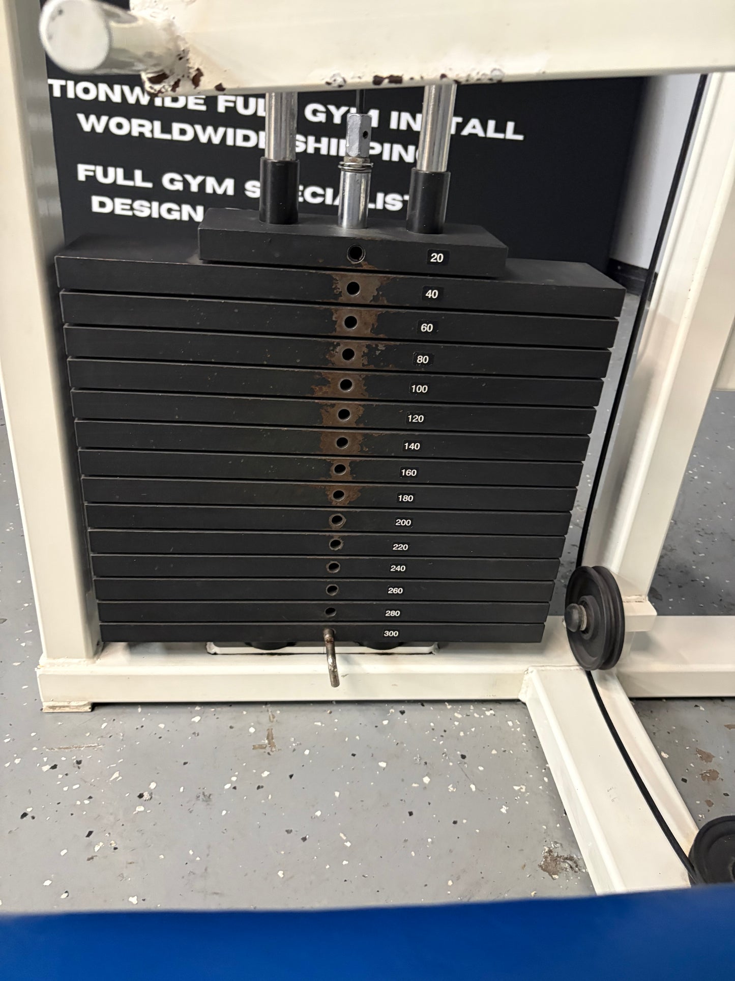 ProMaxima Flat Bench Press