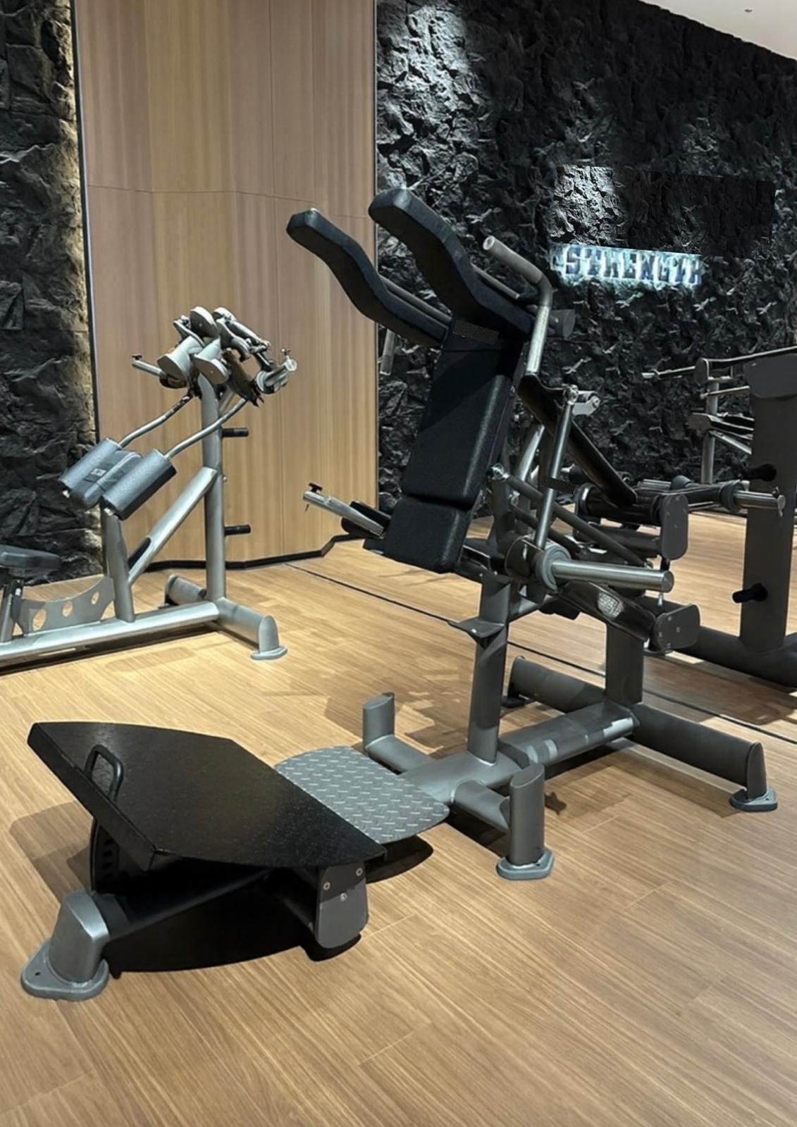 Premier Strength Atlas Series V Squat *NEW*