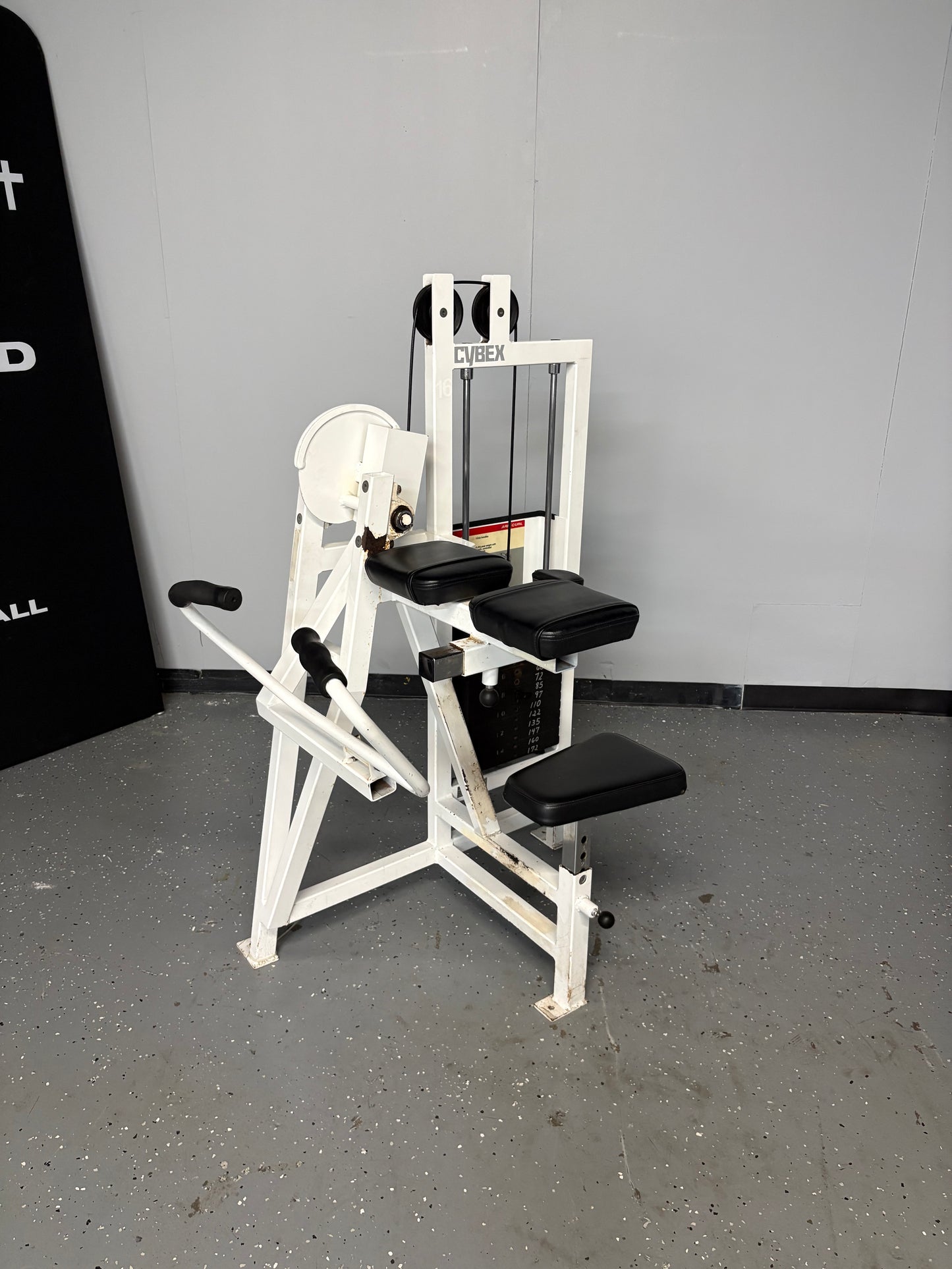 Cybex Classic Series Bicep Curl