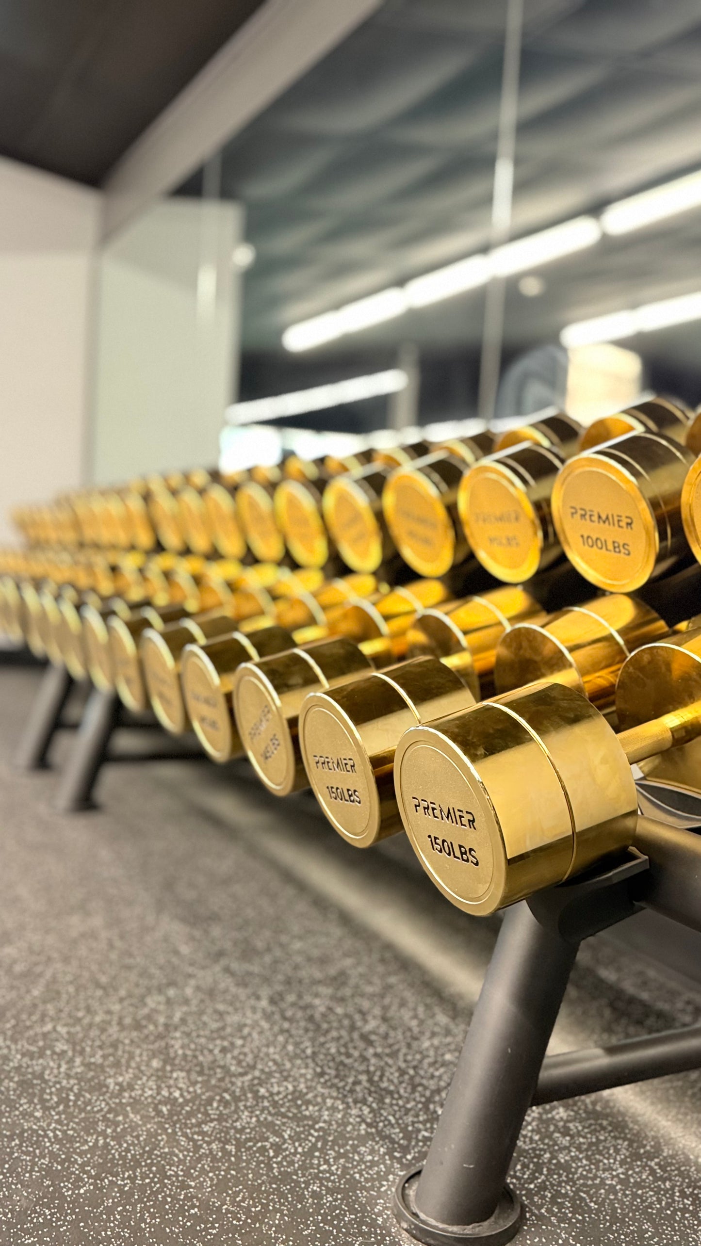 Premier Strength Gold Plated Dumbbell set 5-150 lbs Increments of 5lbs