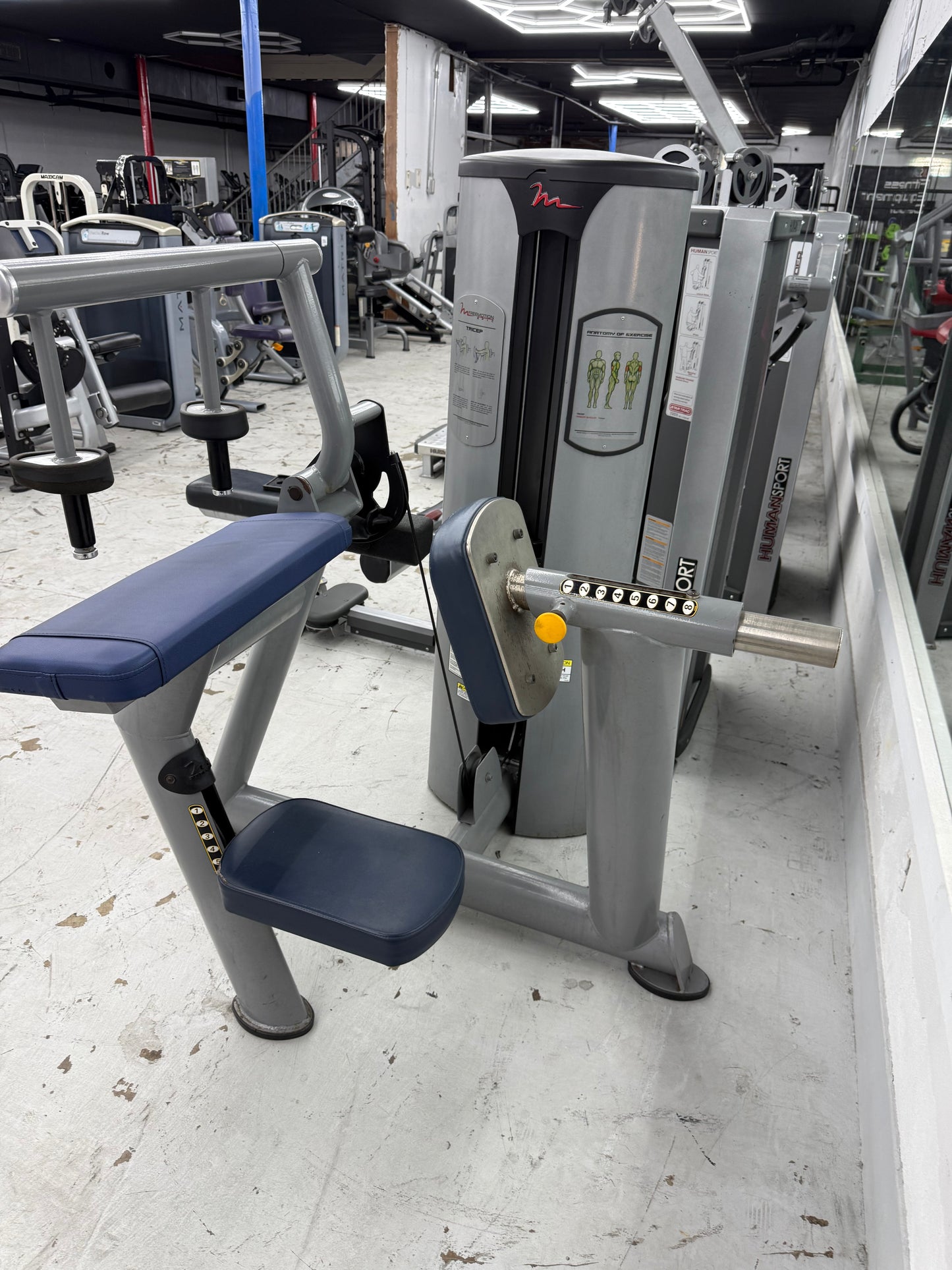 FreeMotion Epic Series Tricep Extension