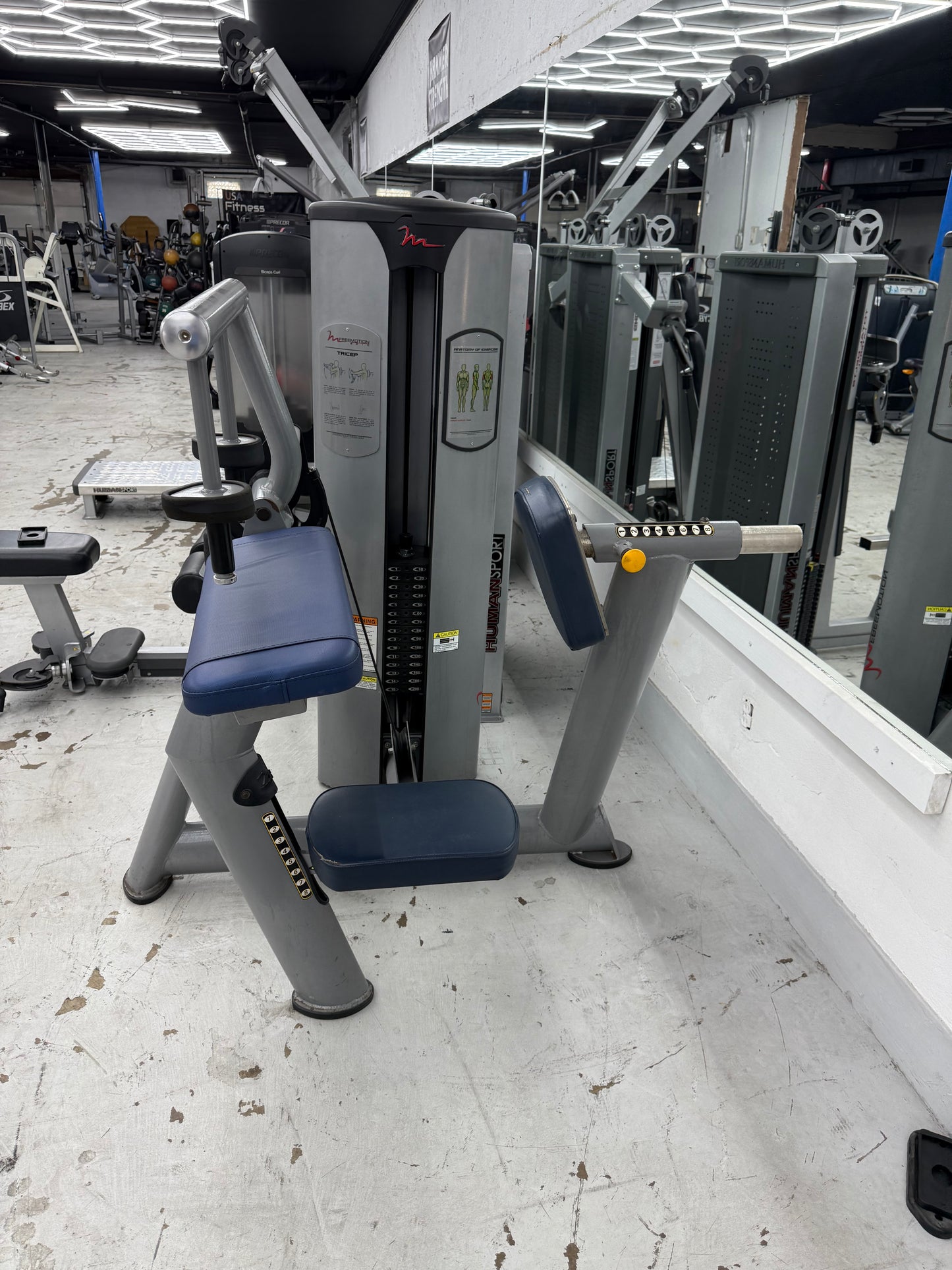 FreeMotion Epic Series Tricep Extension