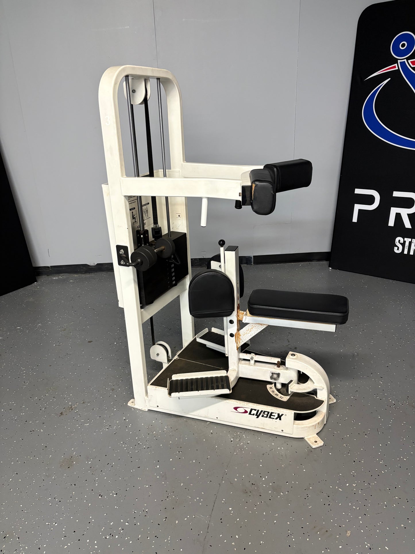 Cybex Classic Series Rotary Torso