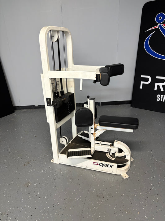 Cybex Classic Series Rotary Torso - rotary torso machines