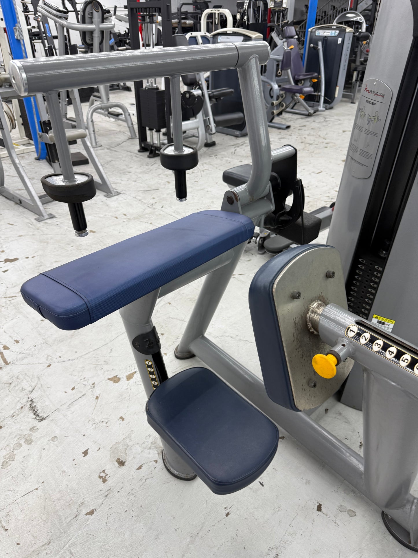 FreeMotion Epic Series Tricep Extension