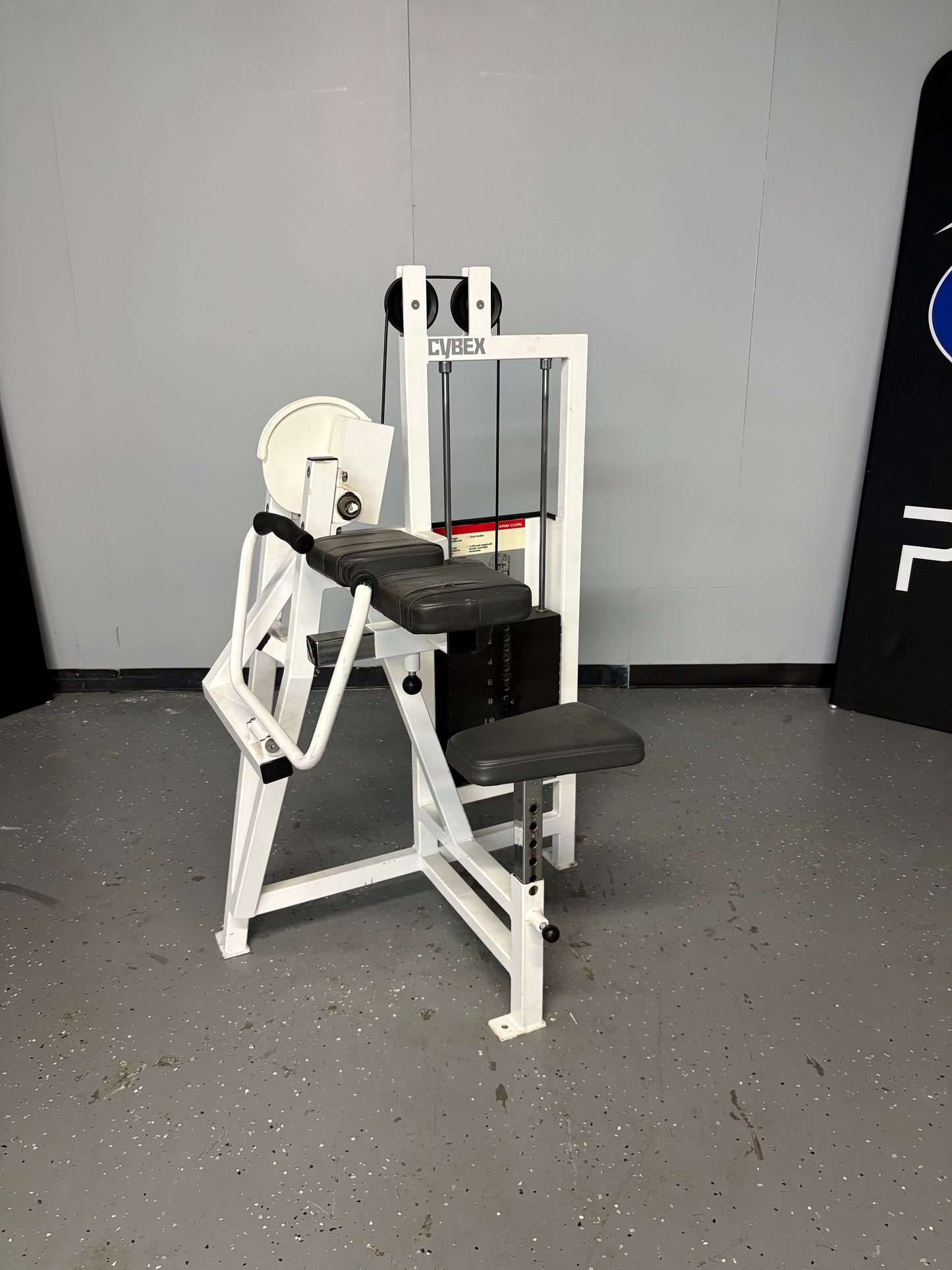Cybex Classic Series Bicep Curl