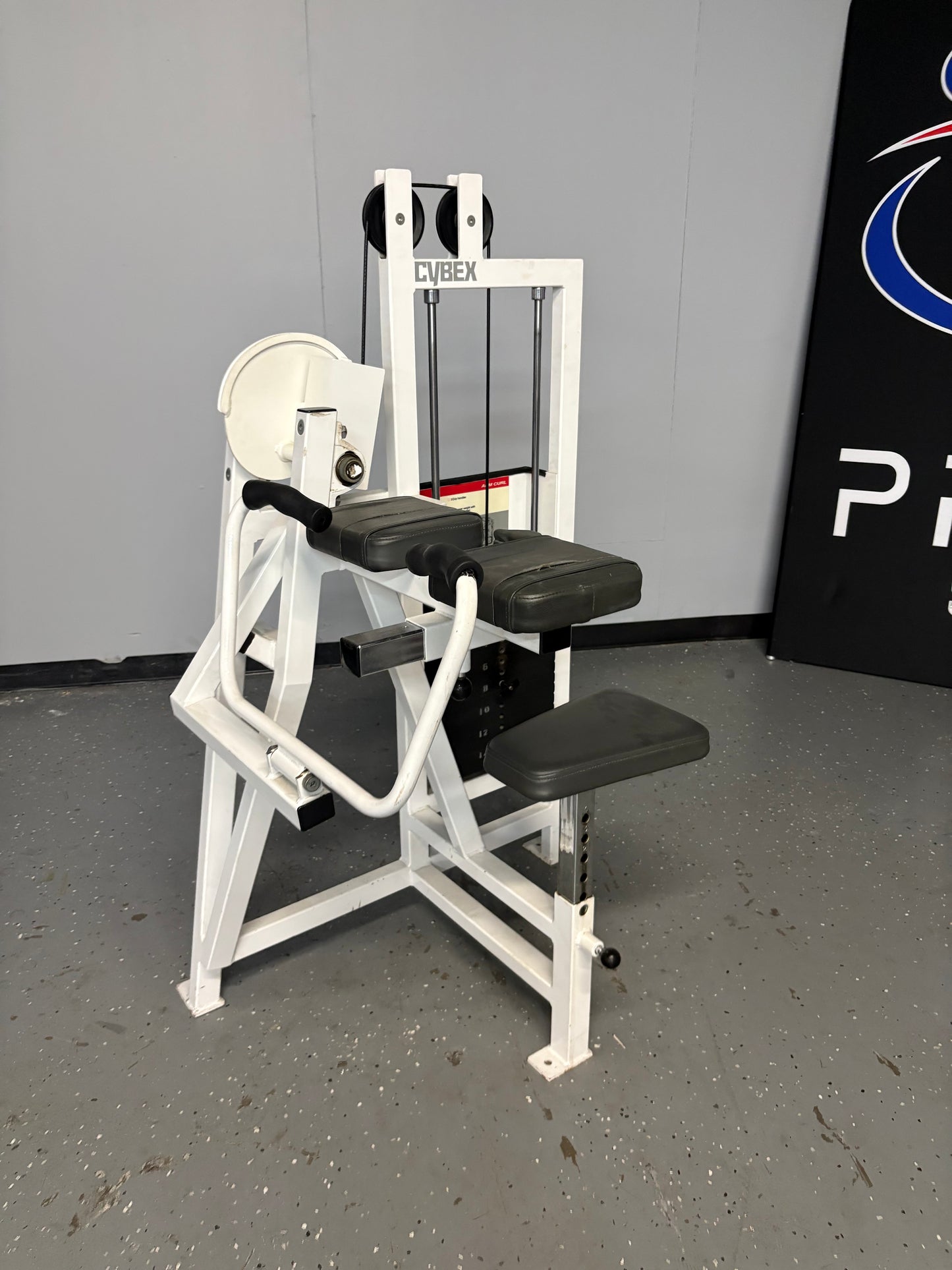Cybex Classic Series Bicep Curl