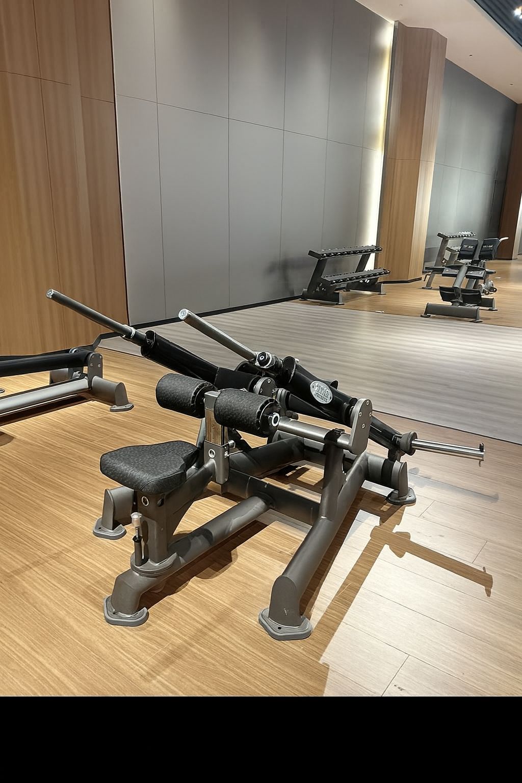 Premier Strength Atlas Series Tricep Dip *NEW*