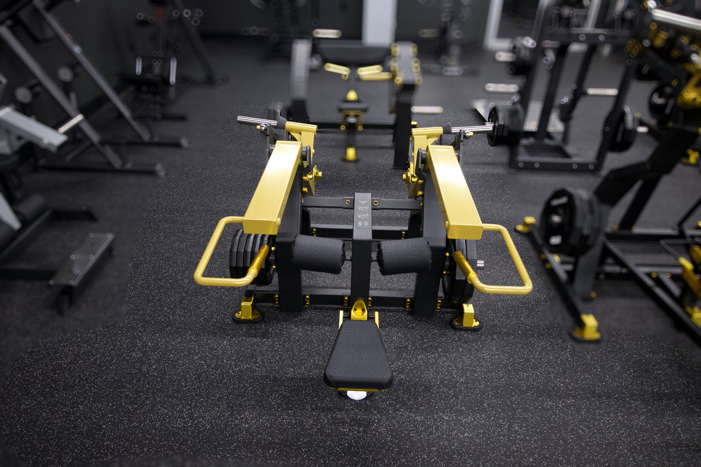 Dips de tríceps *NUEVO* Serie Titan Premier Strength