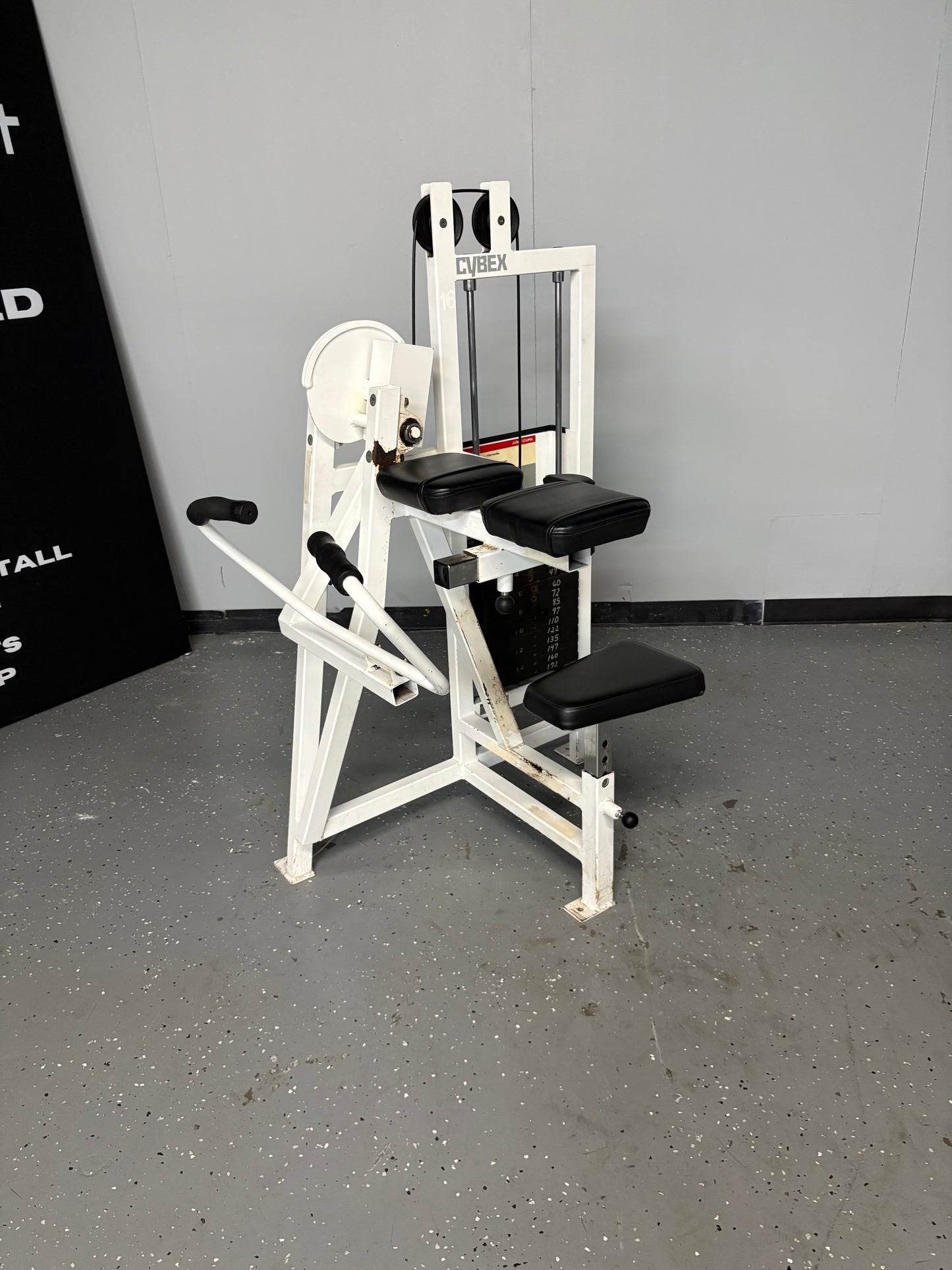 Cybex Classic Series Bicep Curl