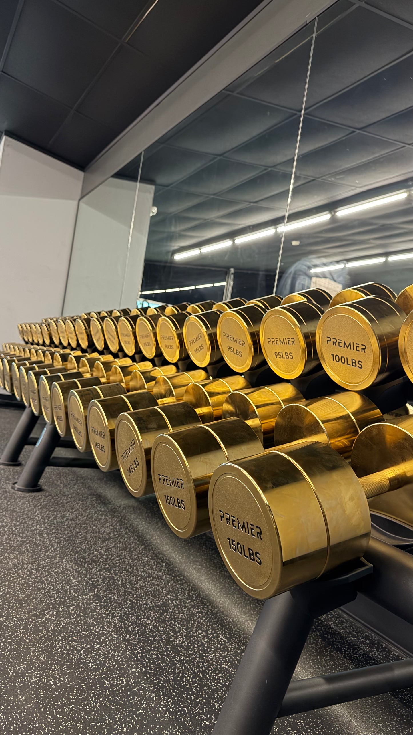 Premier Strength Gold Plated Dumbbell set 5-150 lbs Increments of 5lbs