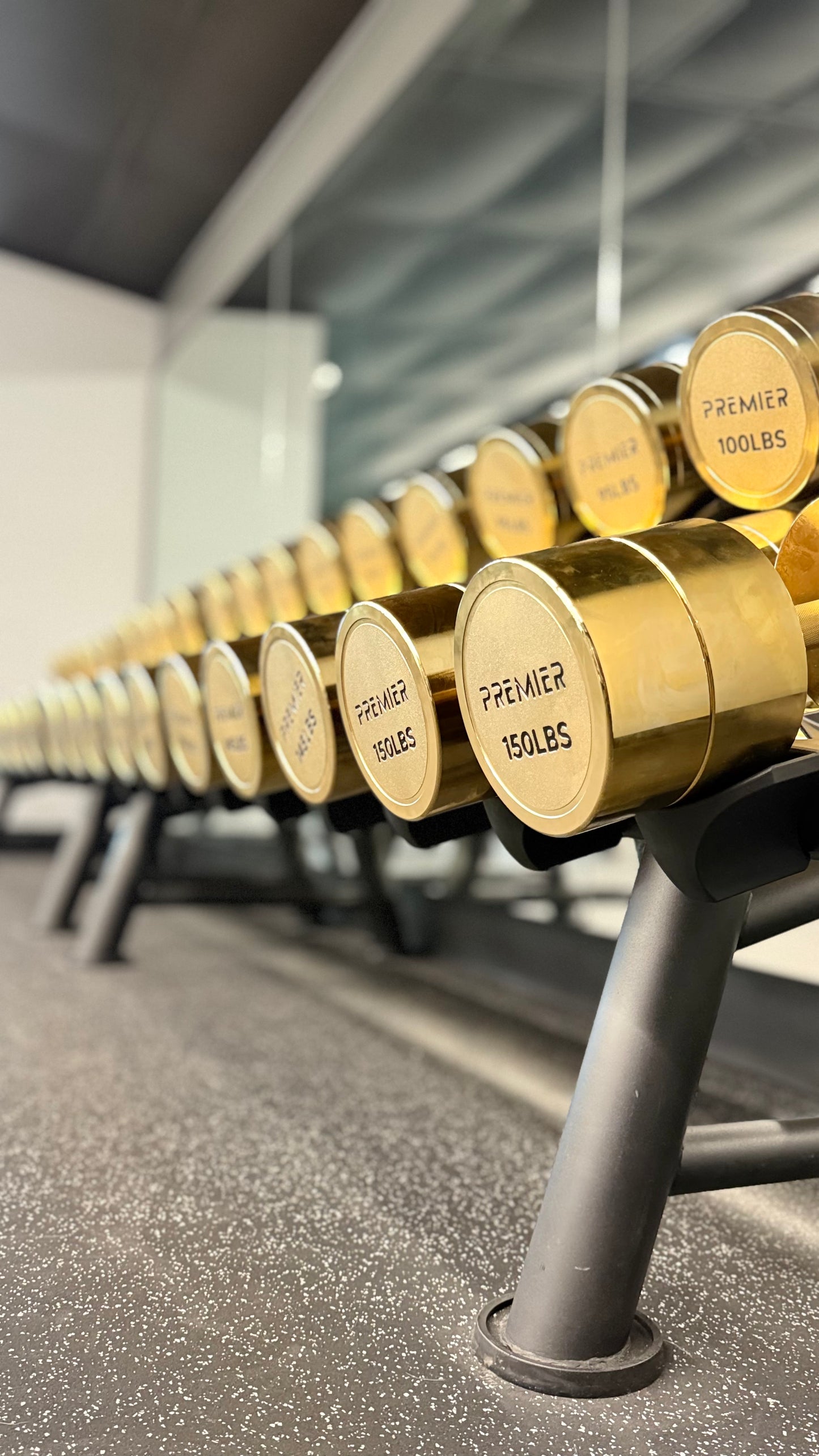 Premier Strength Gold Plated Dumbbell set 5-150 lbs Increments of 5lbs