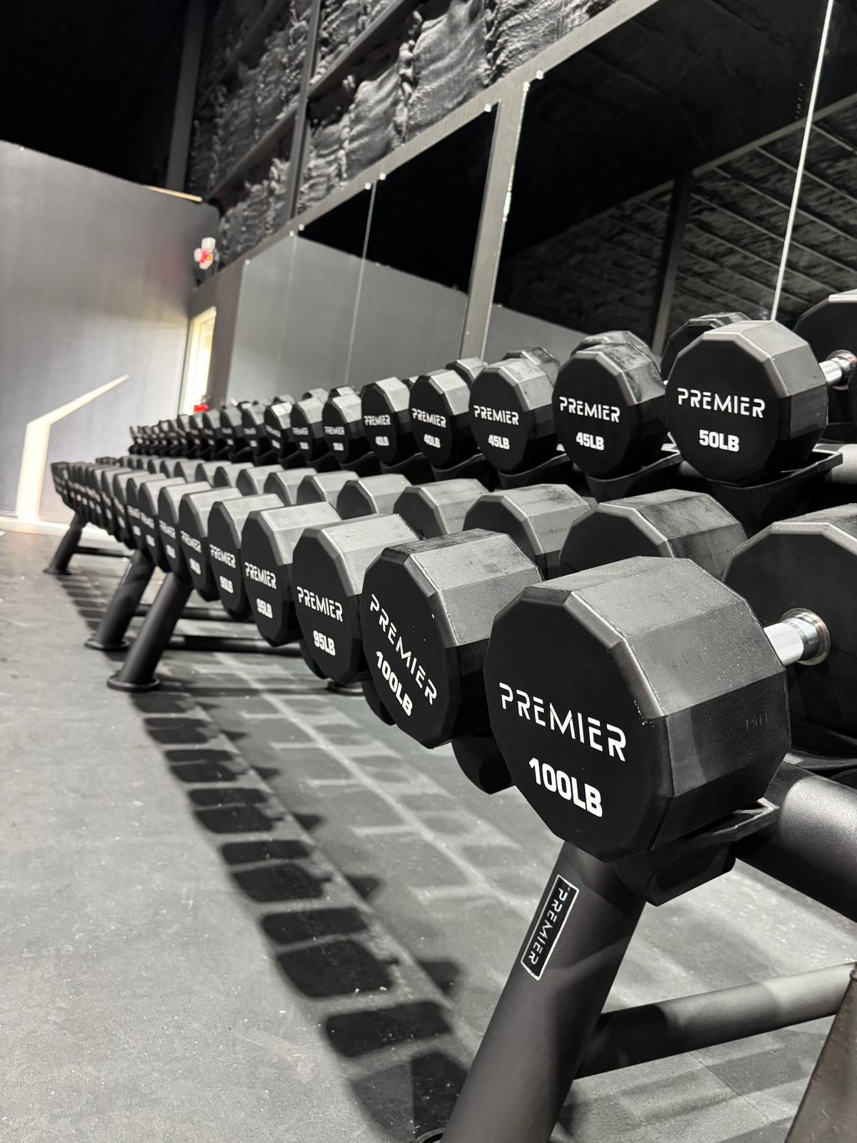 Premier Strength Urethane Dumbbell Set 5-100 w/Racks