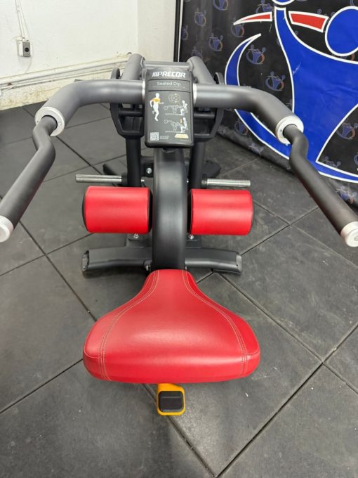 Precor Discovery Series Tricep Dip *REFURBISHED* - Image 3